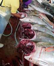 Load image into Gallery viewer, Fresh/Chilled H&G Yellow Fin/Big EyeTuna