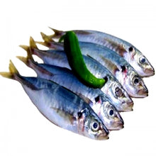 Load image into Gallery viewer, Mackerel Scad (5-7 pieces) 500 grams/pack