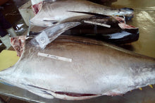 Load image into Gallery viewer, Fresh/Chilled H&G Yellow Fin/Big EyeTuna