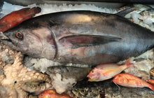 Load image into Gallery viewer, Fresh/Chilled Whole (Head-On) Yellow Fin Tuna
