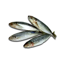 Load image into Gallery viewer, Mackerel Scad (5-7 pieces) 500 grams/pack
